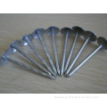 Galvanized Smooth Shank Roofing Nails